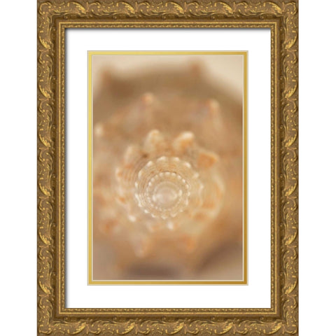 Sea Shell V Gold Ornate Wood Framed Art Print with Double Matting by Millet, Karyn