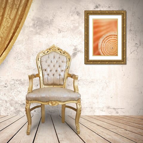 Sea Shell VI Gold Ornate Wood Framed Art Print with Double Matting by Millet, Karyn
