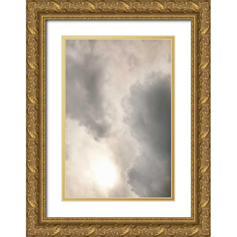 Clouds I Gold Ornate Wood Framed Art Print with Double Matting by Millet, Karyn