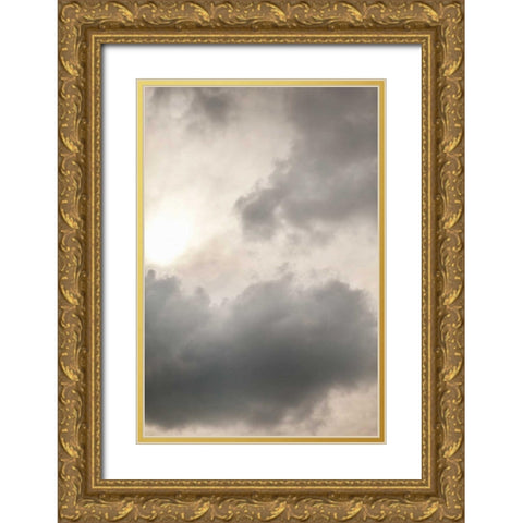 Clouds II Gold Ornate Wood Framed Art Print with Double Matting by Millet, Karyn