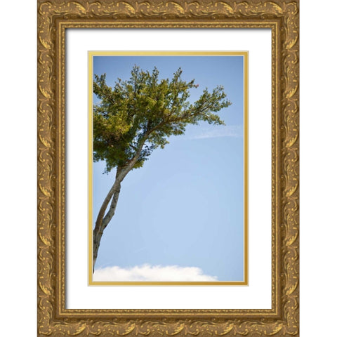 Tall Tree Gold Ornate Wood Framed Art Print with Double Matting by Millet, Karyn