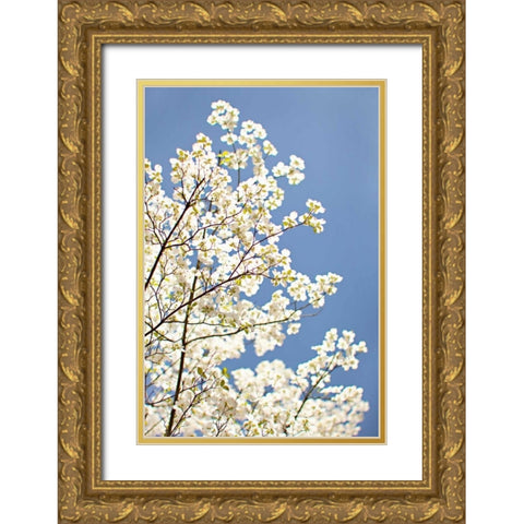 Blossoms III Gold Ornate Wood Framed Art Print with Double Matting by Millet, Karyn