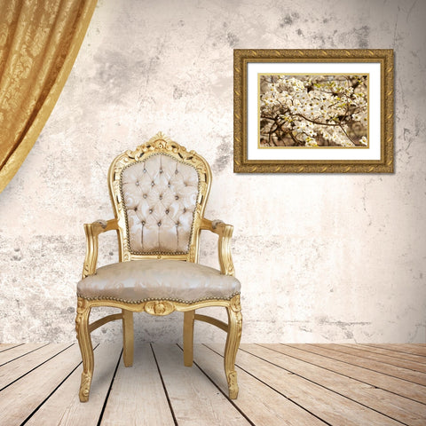 Cherry Blossoms III Gold Ornate Wood Framed Art Print with Double Matting by Millet, Karyn