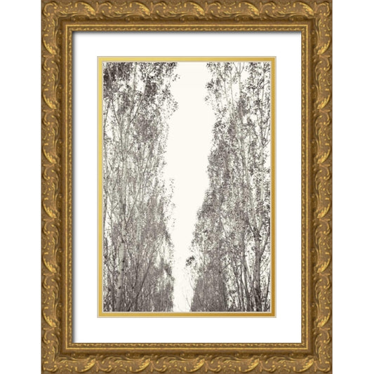 Perspective Image