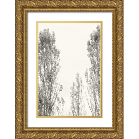 Trees IV Gold Ornate Wood Framed Art Print with Double Matting by Millet, Karyn