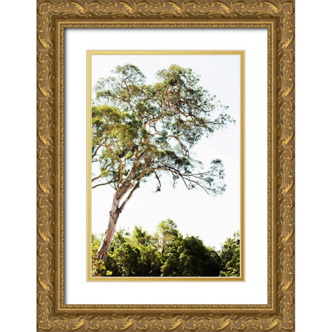 Trees V Gold Ornate Wood Framed Art Print with Double Matting by Millet, Karyn