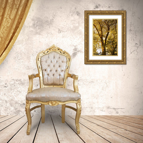 Up in the Trees I Gold Ornate Wood Framed Art Print with Double Matting by Millet, Karyn