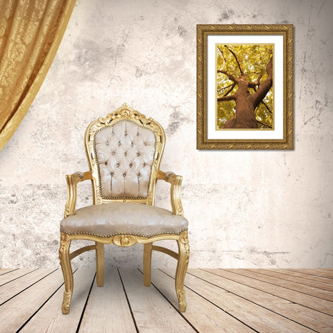 Up in the Trees II Gold Ornate Wood Framed Art Print with Double Matting by Millet, Karyn