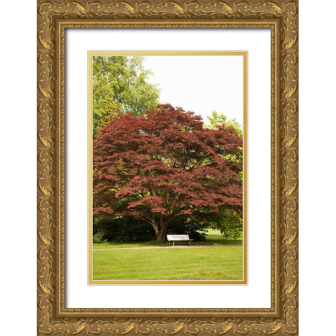 Fall in the Park Gold Ornate Wood Framed Art Print with Double Matting by Millet, Karyn