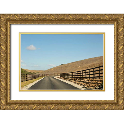 Country Road I Gold Ornate Wood Framed Art Print with Double Matting by Millet, Karyn