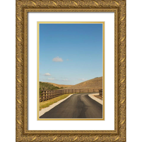 Country Road III Gold Ornate Wood Framed Art Print with Double Matting by Millet, Karyn