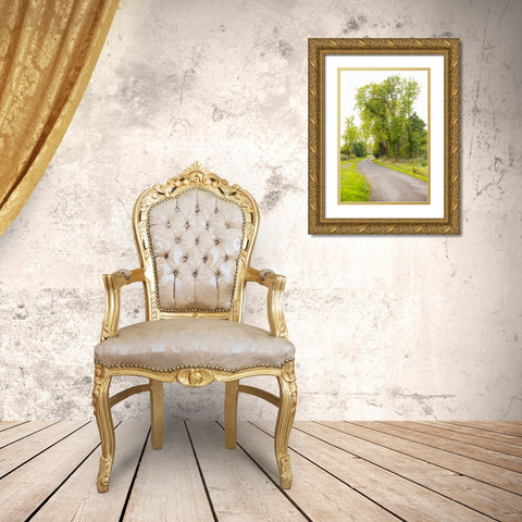 Country Road IV Gold Ornate Wood Framed Art Print with Double Matting by Millet, Karyn