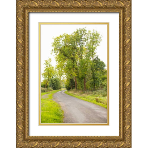Country Road IV Gold Ornate Wood Framed Art Print with Double Matting by Millet, Karyn