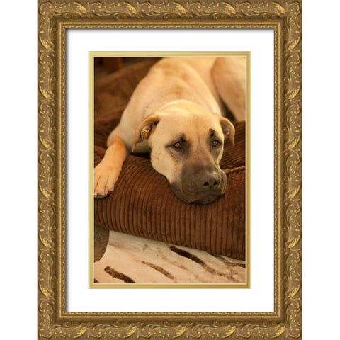 Resting Gold Ornate Wood Framed Art Print with Double Matting by Millet, Karyn