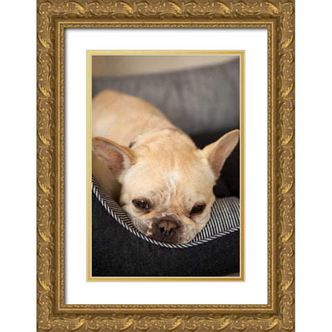 Resting II Gold Ornate Wood Framed Art Print with Double Matting by Millet, Karyn