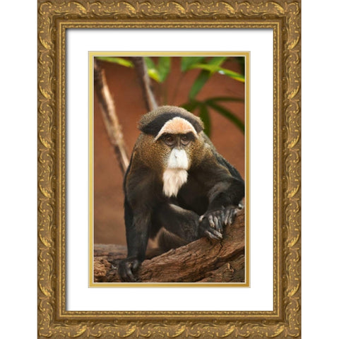 Primate I Gold Ornate Wood Framed Art Print with Double Matting by Millet, Karyn