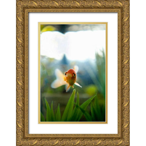 Goldfish I Gold Ornate Wood Framed Art Print with Double Matting by Millet, Karyn