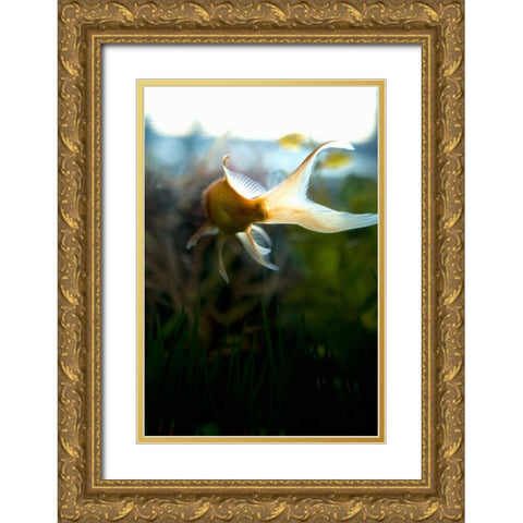 Goldfish II Gold Ornate Wood Framed Art Print with Double Matting by Millet, Karyn