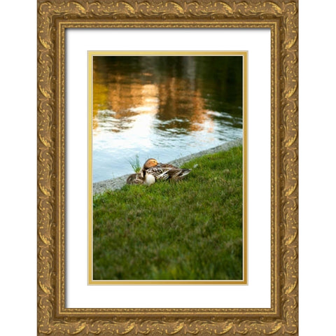 Ducks on the Pond Gold Ornate Wood Framed Art Print with Double Matting by Millet, Karyn