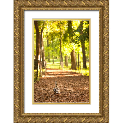 Duck Walk Gold Ornate Wood Framed Art Print with Double Matting by Millet, Karyn