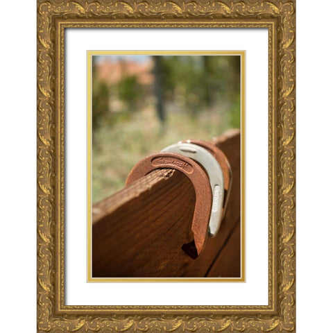 Horse Shoes Gold Ornate Wood Framed Art Print with Double Matting by Millet, Karyn