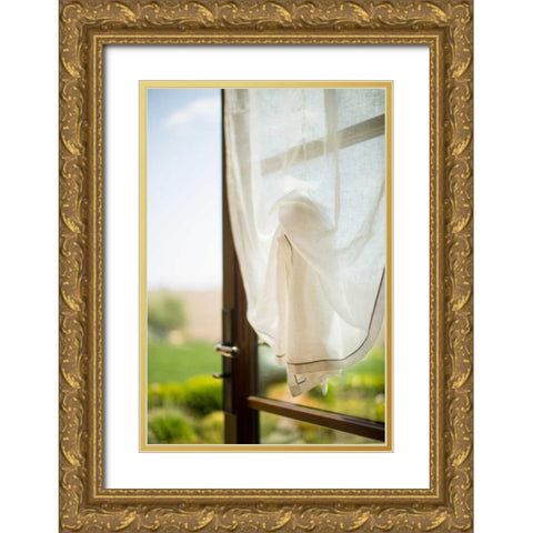 Open Window Gold Ornate Wood Framed Art Print with Double Matting by Millet, Karyn