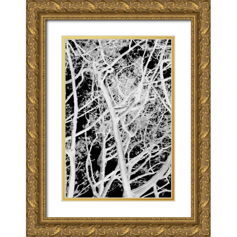 Tree Scatter Gold Ornate Wood Framed Art Print with Double Matting by Millet, Karyn