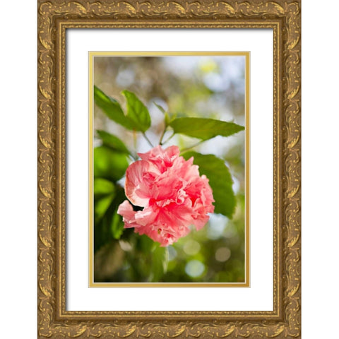 Spring Bloom II Gold Ornate Wood Framed Art Print with Double Matting by Millet, Karyn