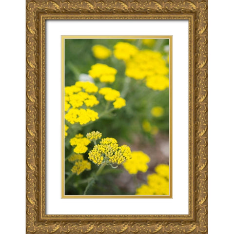 Field of Yellow Gold Ornate Wood Framed Art Print with Double Matting by Millet, Karyn