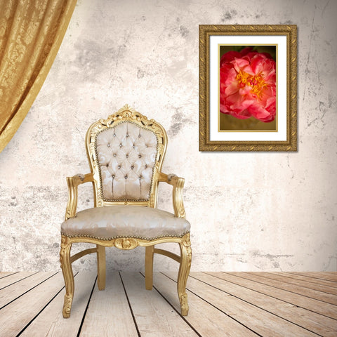 Coral Peony Gold Ornate Wood Framed Art Print with Double Matting by Millet, Karyn