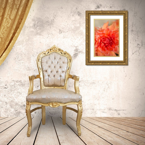 Coral Dahlia Gold Ornate Wood Framed Art Print with Double Matting by Millet, Karyn