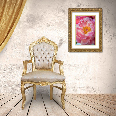 Pink Peony Gold Ornate Wood Framed Art Print with Double Matting by Millet, Karyn
