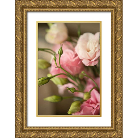 Pink Blossoms II Gold Ornate Wood Framed Art Print with Double Matting by Millet, Karyn