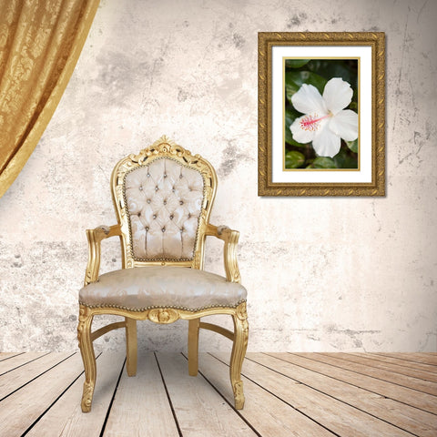 White Hibiscus Gold Ornate Wood Framed Art Print with Double Matting by Millet, Karyn