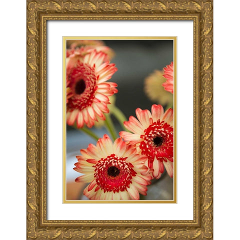 Red and White Daisies I Gold Ornate Wood Framed Art Print with Double Matting by Millet, Karyn