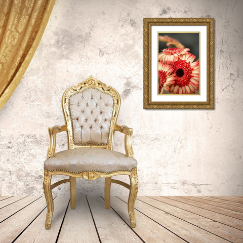 Red and White Daisies II Gold Ornate Wood Framed Art Print with Double Matting by Millet, Karyn