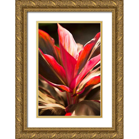 Red Ti Leaves Gold Ornate Wood Framed Art Print with Double Matting by Millet, Karyn