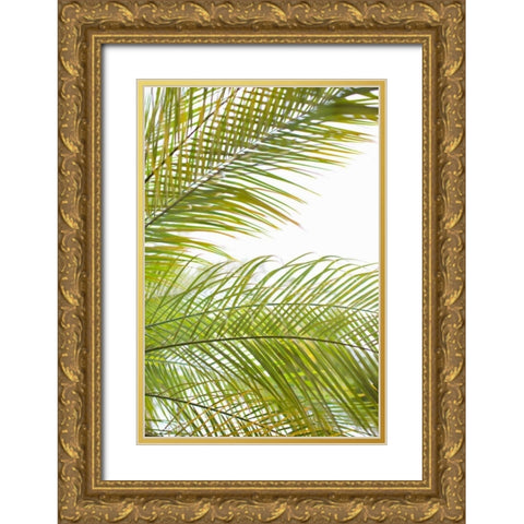 Palms in the Sun I Gold Ornate Wood Framed Art Print with Double Matting by Millet, Karyn
