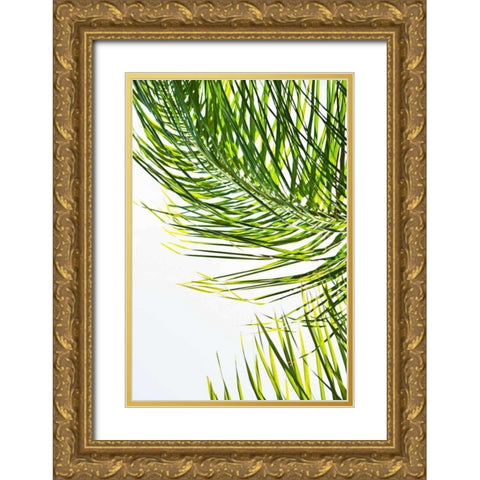 Palms in the Sun II Gold Ornate Wood Framed Art Print with Double Matting by Millet, Karyn