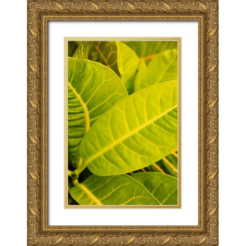 Green Leaves I Gold Ornate Wood Framed Art Print with Double Matting by Millet, Karyn