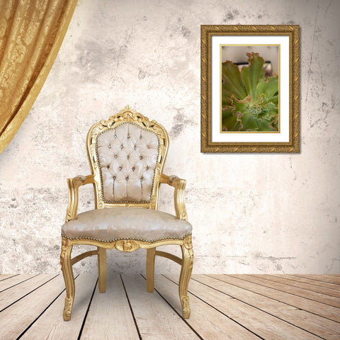 Succulent Garden II Gold Ornate Wood Framed Art Print with Double Matting by Millet, Karyn