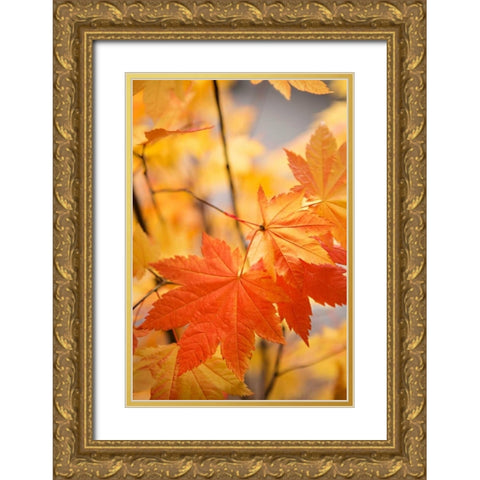Colors of Fall II Gold Ornate Wood Framed Art Print with Double Matting by Millet, Karyn