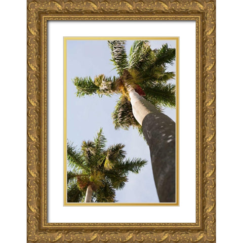 Below the Palms II Gold Ornate Wood Framed Art Print with Double Matting by Millet, Karyn