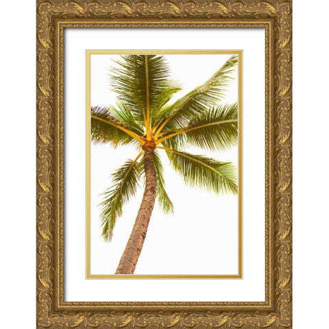 Below the Palms V Gold Ornate Wood Framed Art Print with Double Matting by Millet, Karyn