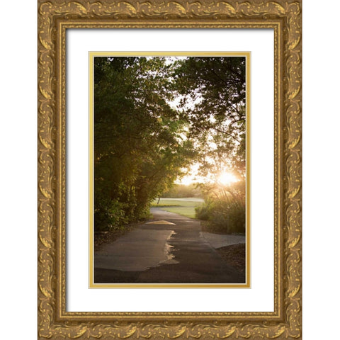Island Stroll Gold Ornate Wood Framed Art Print with Double Matting by Millet, Karyn