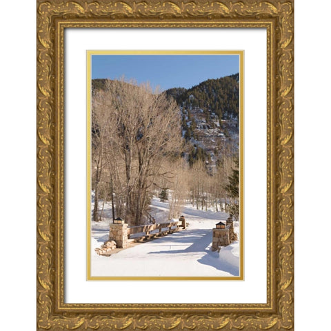 Snowy Path Gold Ornate Wood Framed Art Print with Double Matting by Millet, Karyn