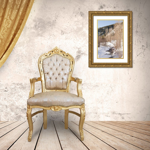Snow in the Mountains Gold Ornate Wood Framed Art Print with Double Matting by Millet, Karyn