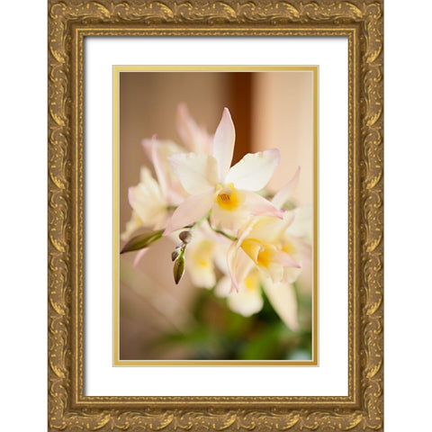 White and Yellow Bursting Flower Gold Ornate Wood Framed Art Print with Double Matting by Millet, Karyn