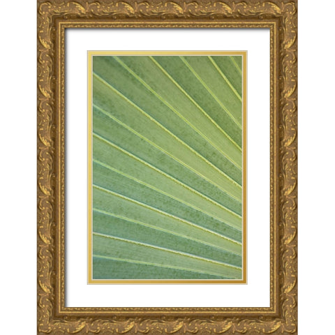 Tropical Leaf Close-Up I Gold Ornate Wood Framed Art Print with Double Matting by Millet, Karyn