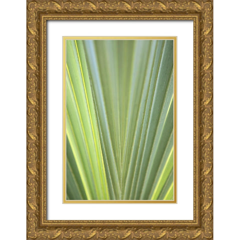 Tropical Leaf Close-Up II Gold Ornate Wood Framed Art Print with Double Matting by Millet, Karyn